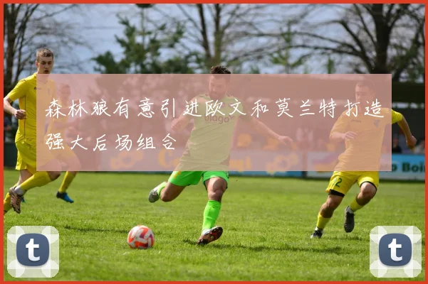 森林狼有意引进欧文和莫兰特打造强大后场组合