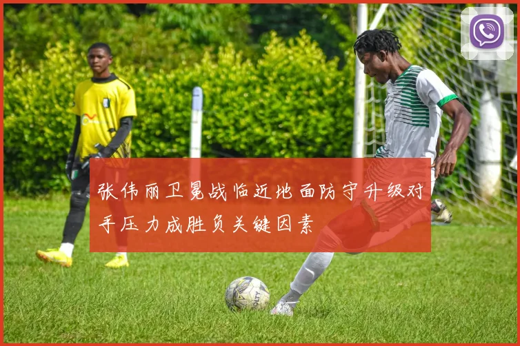 张伟丽卫冕战临近地面防守升级对手压力成胜负关键因素