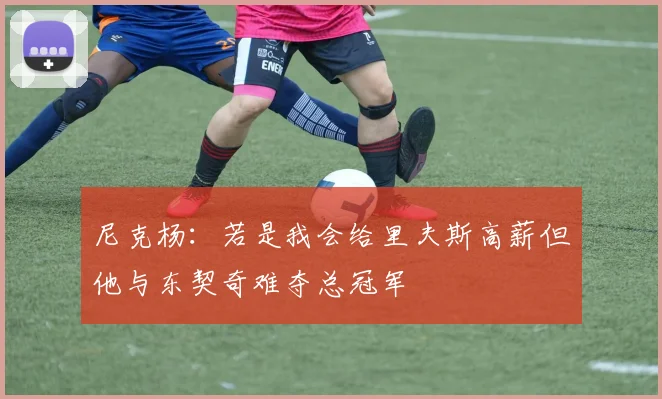 尼克杨：若是我会给里夫斯高薪但他与东契奇难夺总冠军
