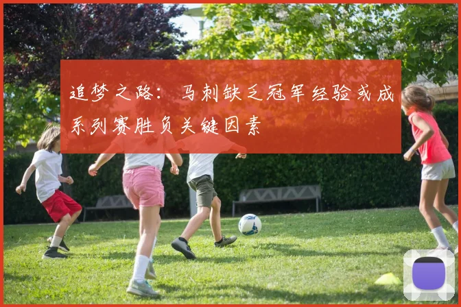 追梦之路：马刺缺乏冠军经验或成系列赛胜负关键因素
